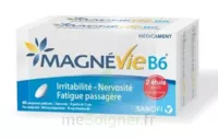 Magnevie B6 100 Mg/10 Mg Comprimés Pelliculés 2plq/60 (120) à BOURG-SAINT-ANDÉOL
